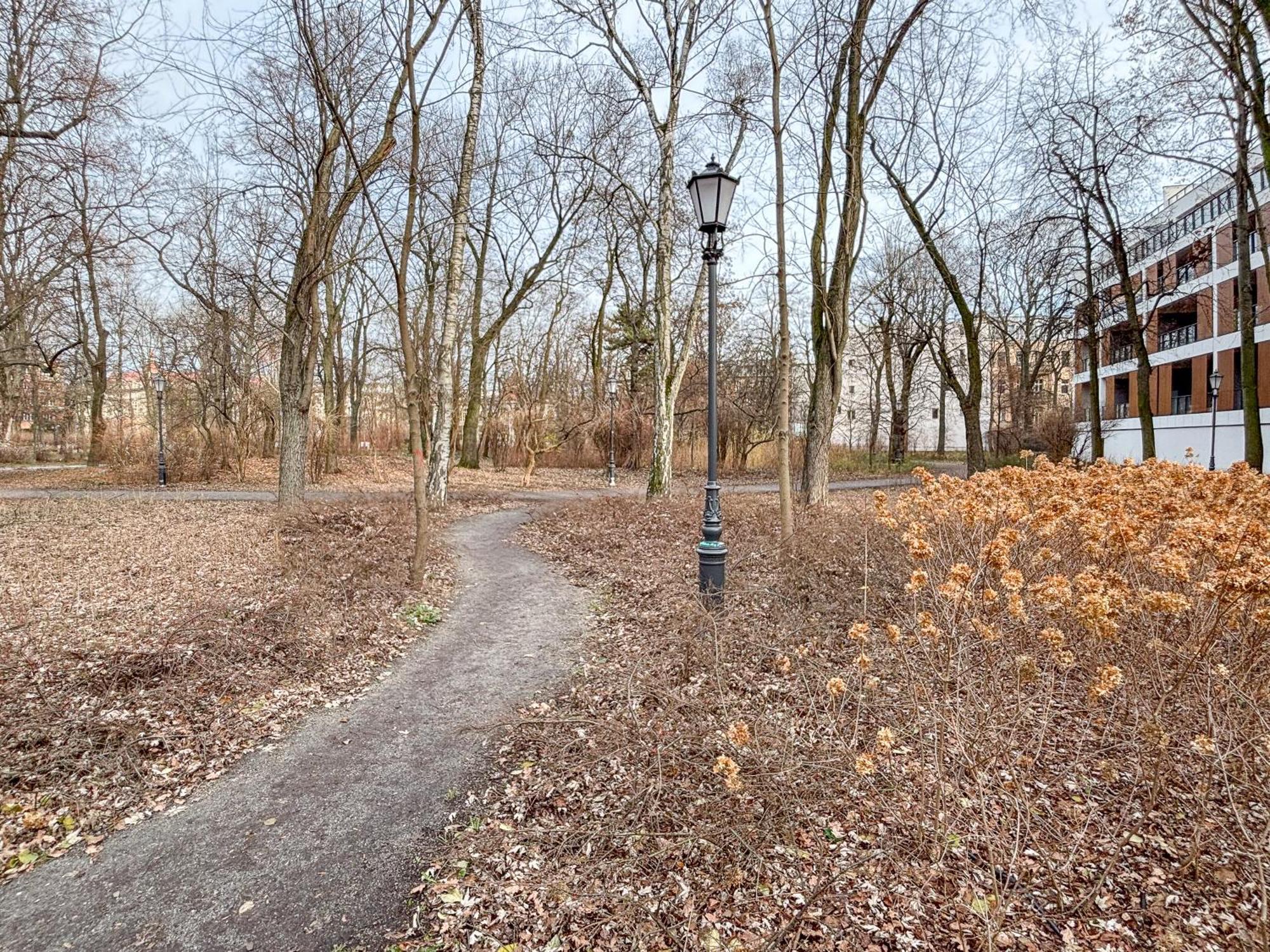 Yoga Zen, Z Tarasem I Widokiem Na Park Łódź